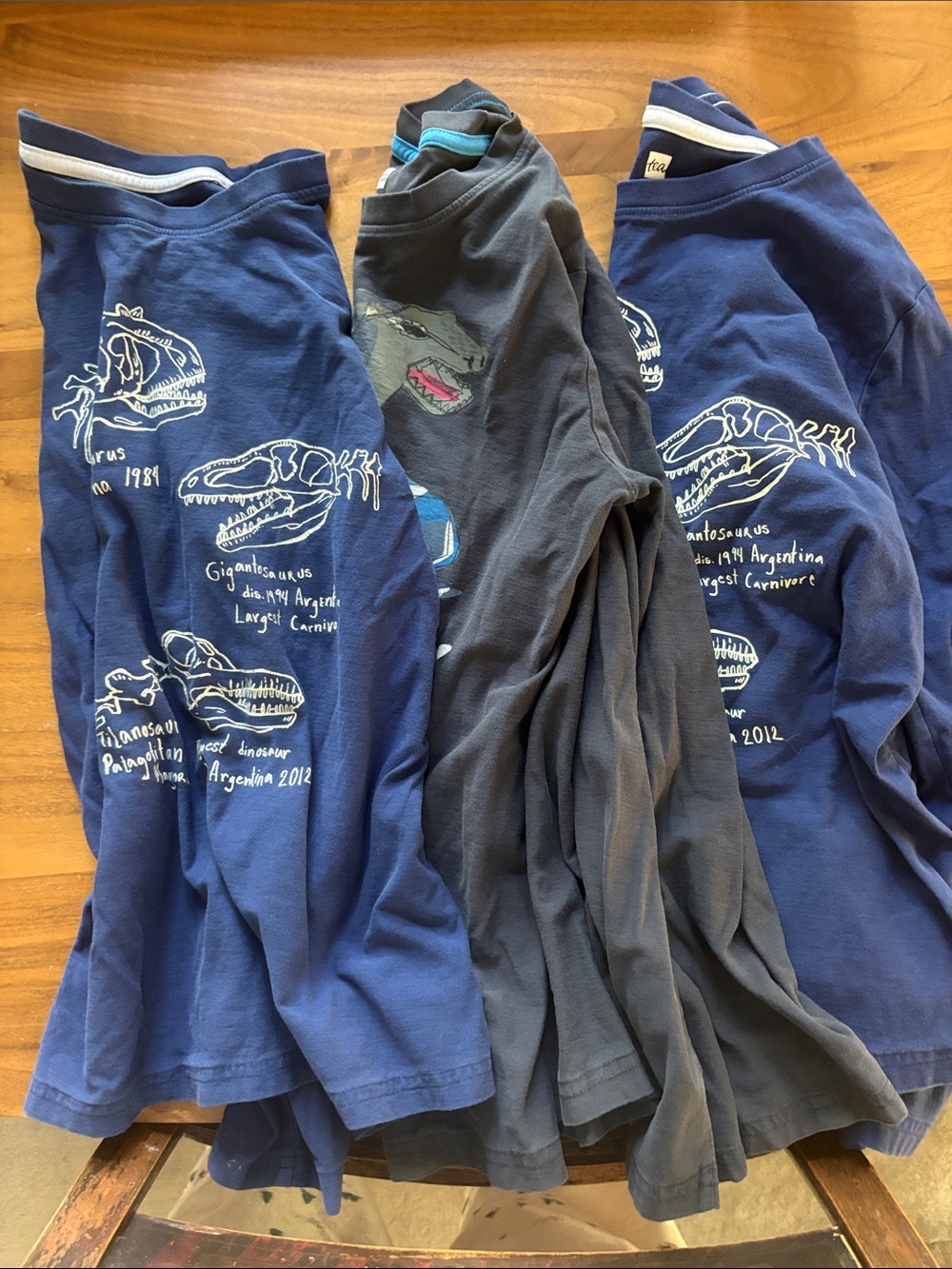 Tea Collection Boys Long Sleeve Dinosaur Tee in Blue & Gray